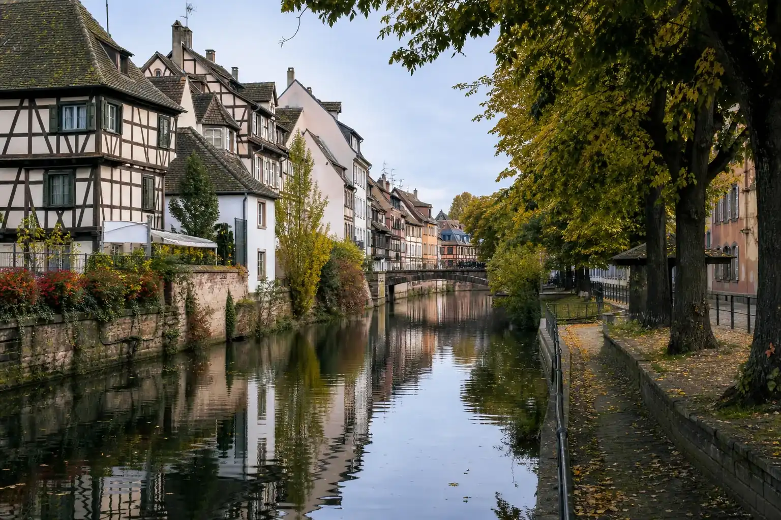 Berge d’un canal alsacien plantée d’arbres, maisons à colombages en arrière-plan, reflets sur l’eau calme